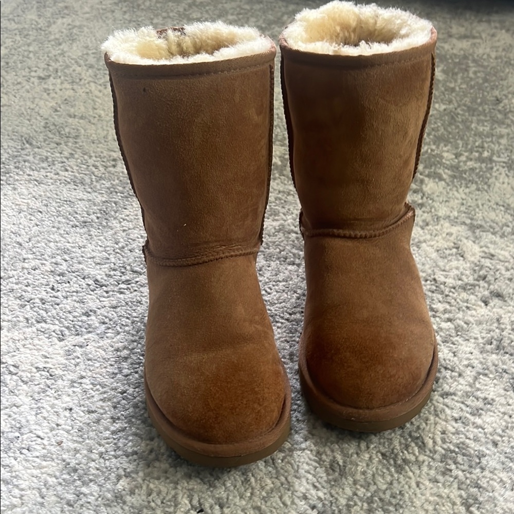UGG Tan Ankle Boots with Plush Sheepskin Lining